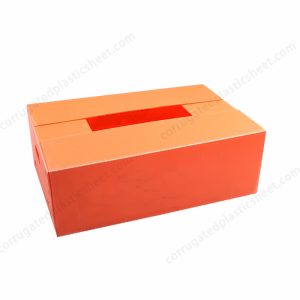 PP中空板果蔬育苗箱